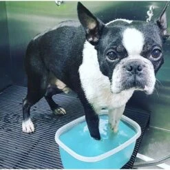 Warren London Deep Cleaning Dog Paw Fizz Tablets -Cozy Paws 112730 PT4. AC SS1800 V1657655269