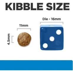 Hill's Prescription Diet D/d Skin/Food Sensitivities Potato & Salmon Recipe Dry Dog Food -Cozy Paws 113450 PT2. AC SS1800 V1646169387