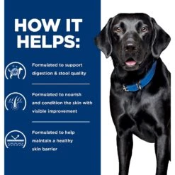 Hill's Prescription Diet D/d Skin/Food Sensitivities Potato & Salmon Recipe Dry Dog Food -Cozy Paws 113450 PT4. AC SS1800 V1646168536