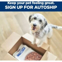 Hill's Prescription Diet D/d Skin/Food Sensitivities Potato & Venison Dry Dog Food -Cozy Paws 113451 PT8. AC SS1800 V1668616083