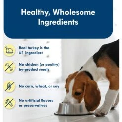 Blue Buffalo Divine Delights Roasted Turkey Flavor Pate Dog Food Trays -Cozy Paws 114275 PT5. AC SS1800 V1642632436