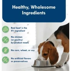 Blue Buffalo Divine Delights New York Strip Flavor Hearty Gravy Dog Food Trays -Cozy Paws 114289 PT5. AC SS1800 V1642640811