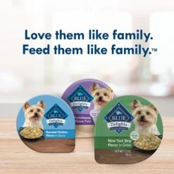 Blue Buffalo Divine Delights New York Strip Flavor Hearty Gravy Dog Food Trays -Cozy Paws 114289 PT8. AC SS1800 V1642643195