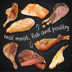 Hound & Gatos 98% Lamb, Chicken & Salmon Grain-Free Canned Dog Food -Cozy Paws 115060 PT5. AC SS1800 V1594850172