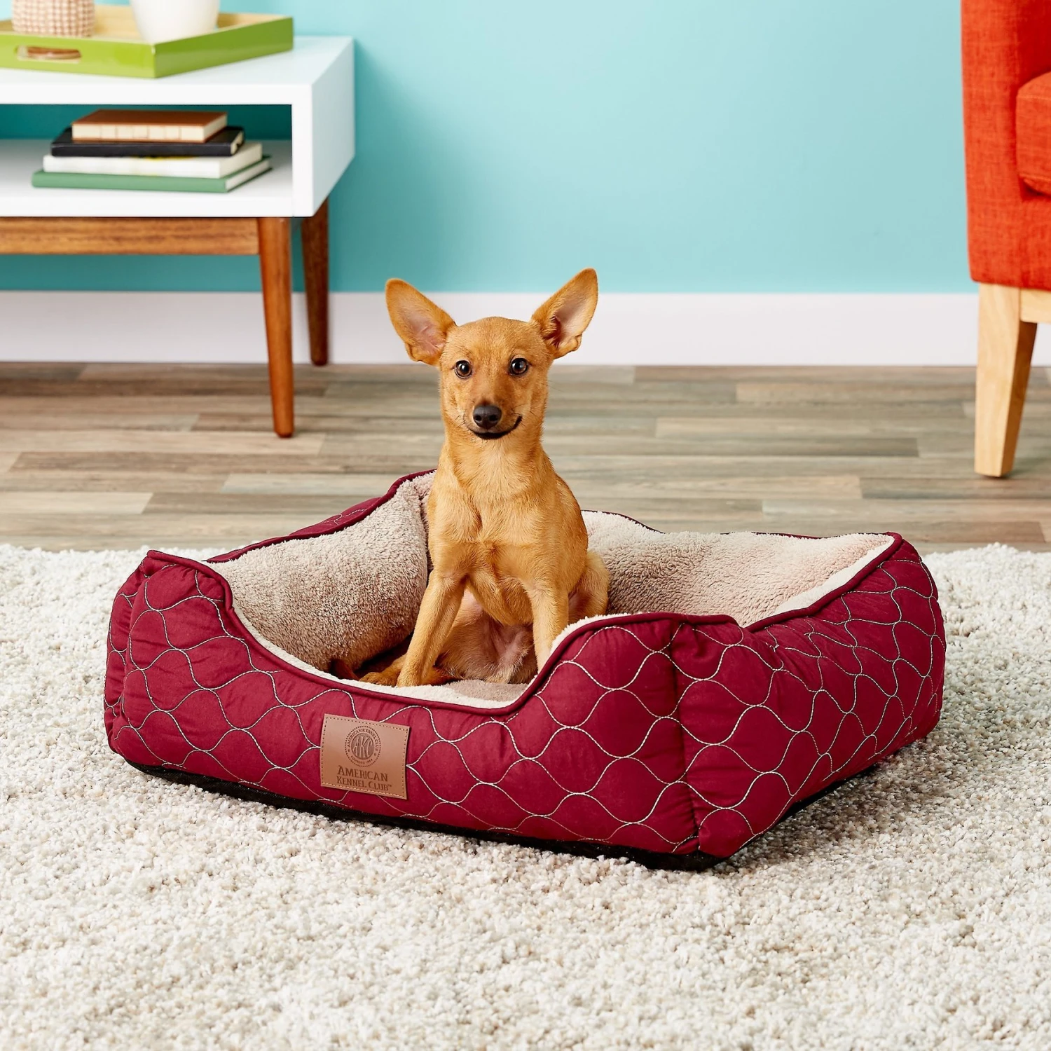 American Kennel Club AKC Circle Stitch Orthopedic Bolster Cat & Dog Bed 3 American Kennel Club AKC Circle Stitch Orthopedic Bolster Cat & Dog Bed