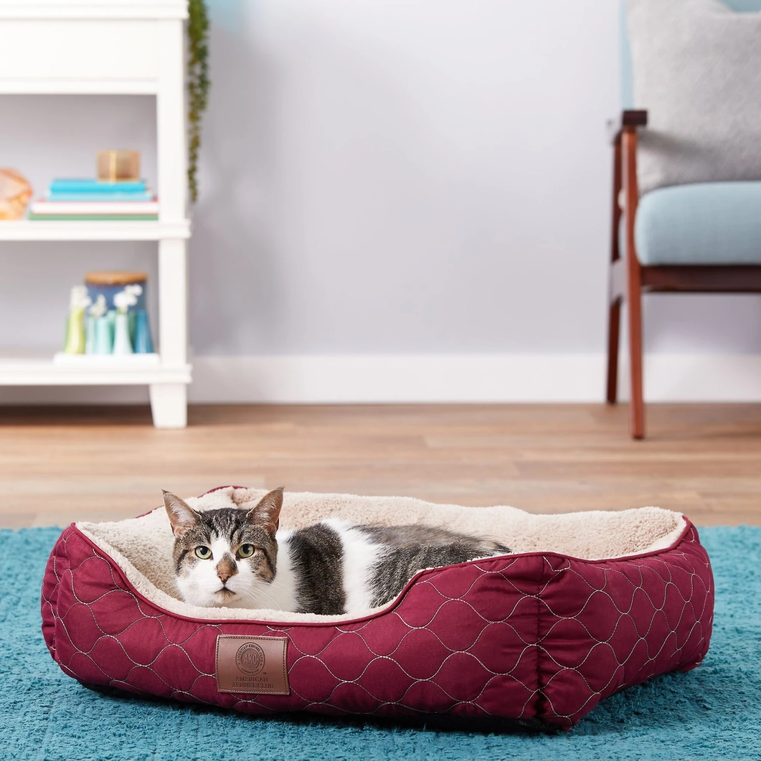 American Kennel Club AKC Circle Stitch Orthopedic Bolster Cat & Dog Bed 6 American Kennel Club AKC Circle Stitch Orthopedic Bolster Cat & Dog Bed - Image 4