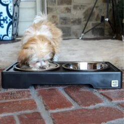 Pet Zone Designer Diner Adjustable Elevated Dog & Cat Bowls, 7-cup -Cozy Paws 115664 PT5. AC SS1800 V1639018068