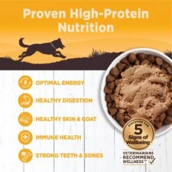 Wellness CORE 95% Grain-Free Chicken & Broccoli Canned Dog Food -Cozy Paws 120811 PT2. AC SS1800 V1613573476