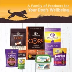 Wellness CORE 95% Grain-Free Chicken & Broccoli Canned Dog Food -Cozy Paws 120811 PT4. AC SS1800 V1613573875