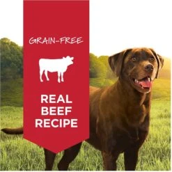Instinct Original Grain-Free Real Beef Recipe Natural Wet Canned Dog Food -Cozy Paws 120818 PT1. AC SS1800 V1548865939