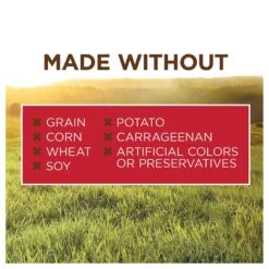 Instinct Original Grain-Free Real Beef Recipe Natural Wet Canned Dog Food -Cozy Paws 120818 PT3. AC SS1800 V1548864771