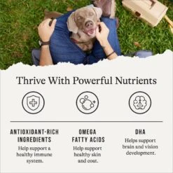 American Journey Limited Ingredient Salmon & Sweet Potato Recipe Grain-Free Dry Dog Food -Cozy Paws 121276 PT4. AC SS1800 V1665438003