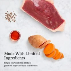 American Journey Limited Ingredient Duck & Sweet Potato Recipe Grain-Free Dry Dog Food -Cozy Paws 121306 PT5. AC SS1800 V1680545177