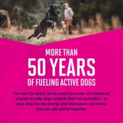 Eukanuba Puppy Mixed Grill Chicken & Beef Dinner In Gravy Canned Dog Food -Cozy Paws 121990 PT5. AC SS1800 V1696449944