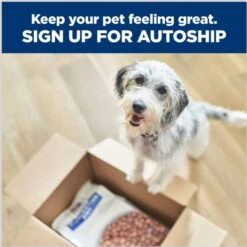 Hill's Prescription Diet K/d Kidney Care + Mobility Care With Chicken & Vegetable Stew Canned Dog Food -Cozy Paws 122115 PT8. AC SS1800 V1688761273