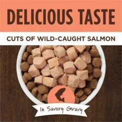 Instinct Healthy Cravings Grain-Free Cuts & Gravy Real Salmon Recipe Wet Dog Food Topper -Cozy Paws 122333 PT2. AC SS1800 V1701880993