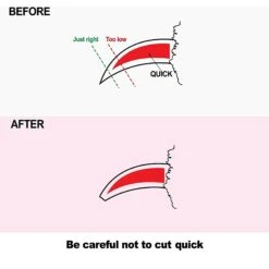 Hertzko Angled Blade Dog, Cat, & Small Pet Nail Scissors -Cozy Paws 123376 PT5. AC SS1800 V1495807260