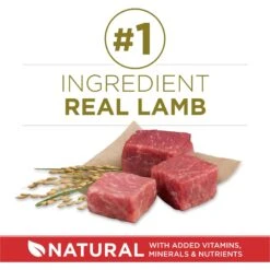 Purina ONE Natural SmartBlend Lamb & Rice Formula Dry Dog Food -Cozy Paws 126355 PT2. AC SS1800 V1676319354