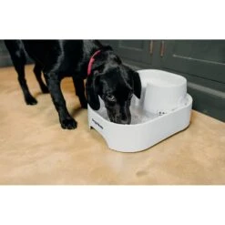 Dog Mate Large Fresh Water Plastic Dog & Cat Fountain, 192-oz -Cozy Paws 127457 PT3. AC SS1800 V1663712299