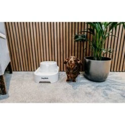 Dog Mate Large Fresh Water Plastic Dog & Cat Fountain, 192-oz -Cozy Paws 127457 PT4. AC SS1800 V1663711876