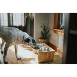 Pawfect Pets Premium Non-Skid Elevated Dog & Cat Bowl -Cozy Paws 127480 PT4. AC SS1800 V1627612941