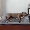 FurHaven Plush & Suede Orthopedic Sofa Cat & Dog Bed -Cozy Paws 127512 MAIN. AC SS1800 V1606316249