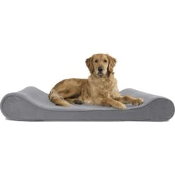 FurHaven Microvelvet Luxe Lounger Orthopedic Cat & Dog Bed With Removable Cover -Cozy Paws 127544 PT3. AC SS1800 V1698693230