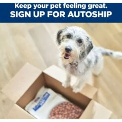 Hill's Prescription Diet Metabolic Crunchy Dog Treats -Cozy Paws 127910 PT7. AC SS1800 V1669942027