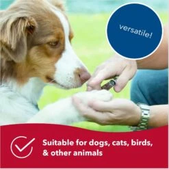 Safari Guillotine Nail Trimmer For Dogs -Cozy Paws 128166 PT5. AC SS1800 V1678125100