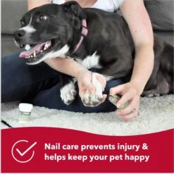 Safari Guillotine Nail Trimmer For Dogs -Cozy Paws 128166 PT6. AC SS1800 V1678124004