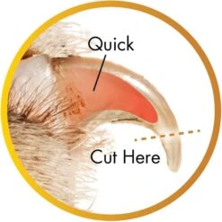 Safari Guillotine Nail Trimmer For Dogs -Cozy Paws 128166 PT7. AC SS1800 V1677960246