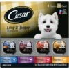 Cesar Loaf In Sauce Variety Pack Grain-Free Small Breed Adult Wet Dog Food Trays