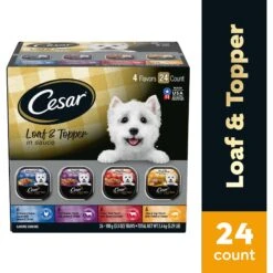 Cesar Loaf In Sauce Variety Pack Grain-Free Small Breed Adult Wet Dog Food Trays -Cozy Paws 128531 PT2. AC SS1800 V1695650671