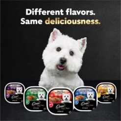 Cesar Loaf In Sauce Variety Pack Grain-Free Small Breed Adult Wet Dog Food Trays -Cozy Paws 128531 PT7. AC SS1800 V1695666299