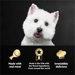 Cesar Steak Lovers Variety Pack Small Breed Adult Wet Dog Food Trays -Cozy Paws 128539 PT4. AC SS1800 V1695750250