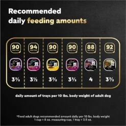 Cesar Steak Lovers Variety Pack Small Breed Adult Wet Dog Food Trays -Cozy Paws 128539 PT7. AC SS1800 V1695666297