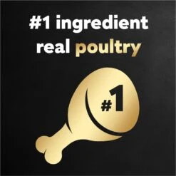 Cesar Poultry Lovers Variety Pack Small Breed Adult Wet Dog Food Trays -Cozy Paws 128541 PT3. AC SS1800 V1695662182