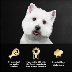 Cesar Steak & Poultry Lovers Variety Pack Small Breed Adult Wet Dog Food Trays -Cozy Paws 128543 PT4. AC SS1800 V1695676346