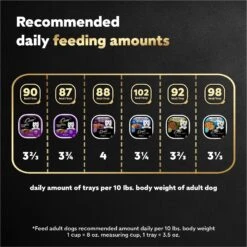 Cesar Steak & Poultry Lovers Variety Pack Small Breed Adult Wet Dog Food Trays -Cozy Paws 128543 PT7. AC SS1800 V1695666362