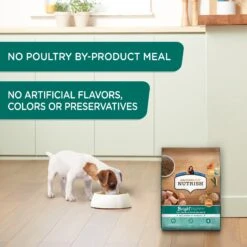 Rachael Ray Nutrish Bright Puppy Natural Real Chicken & Brown Rice Recipe Dry Dog Food -Cozy Paws 129819 PT4. AC SS1800 V1657655411