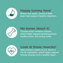 Rachael Ray Nutrish Bright Puppy Natural Real Chicken & Brown Rice Recipe Dry Dog Food -Cozy Paws 129819 PT5. AC SS1800 V1657655411