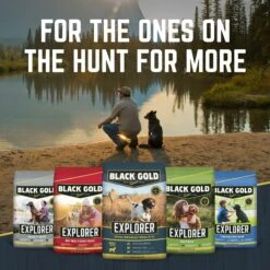 Black Gold Explorer Sensitive Skin & Coat Ocean Fish Meal & Oat Recipe Dry Dog Food, 40-lb Bag -Cozy Paws 133057 PT7. AC SS1800 V1657655414
