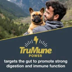 Black Gold Explorer Mature 7+ Formula Dry Dog Food, 40-lb Bag -Cozy Paws 133069 PT3. AC SS1800 V1652742713