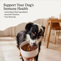 American Journey Stews Poultry & Beef Variety Pack Grain-Free Canned Dog Food, 12.5-oz Can -Cozy Paws 133888 PT1. AC SS1800 V1696623388