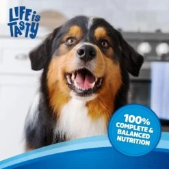 Kibbles 'n Bits Original Savory Beef & Chicken Flavors Dry Dog Food -Cozy Paws 134039 PT5. AC SS1800 V1693496079