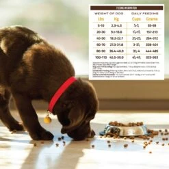 Holistic Select Adult Health Duck Meal Recipe Grain-Free Dry Dog Food -Cozy Paws 134358 PT5. AC SS1800 V1660574177