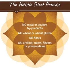 Holistic Select Adult Health Duck Meal Recipe Grain-Free Dry Dog Food -Cozy Paws 134358 PT6. AC SS1800 V1660706870