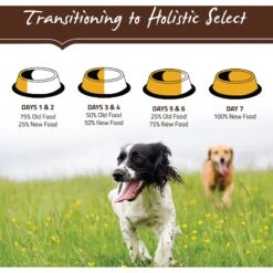 Holistic Select Adult Health Duck Meal Recipe Grain-Free Dry Dog Food -Cozy Paws 134358 PT8. AC SS1800 V1510776859