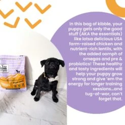 I And Love And You Naked Essentials Puppy Recipe Grain-Free Dry Puppy Food -Cozy Paws 134894 PT2. AC SS1800 V1692293445