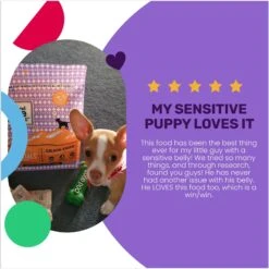 I And Love And You Naked Essentials Puppy Recipe Grain-Free Dry Puppy Food -Cozy Paws 134894 PT3. AC SS1800 V1692293385